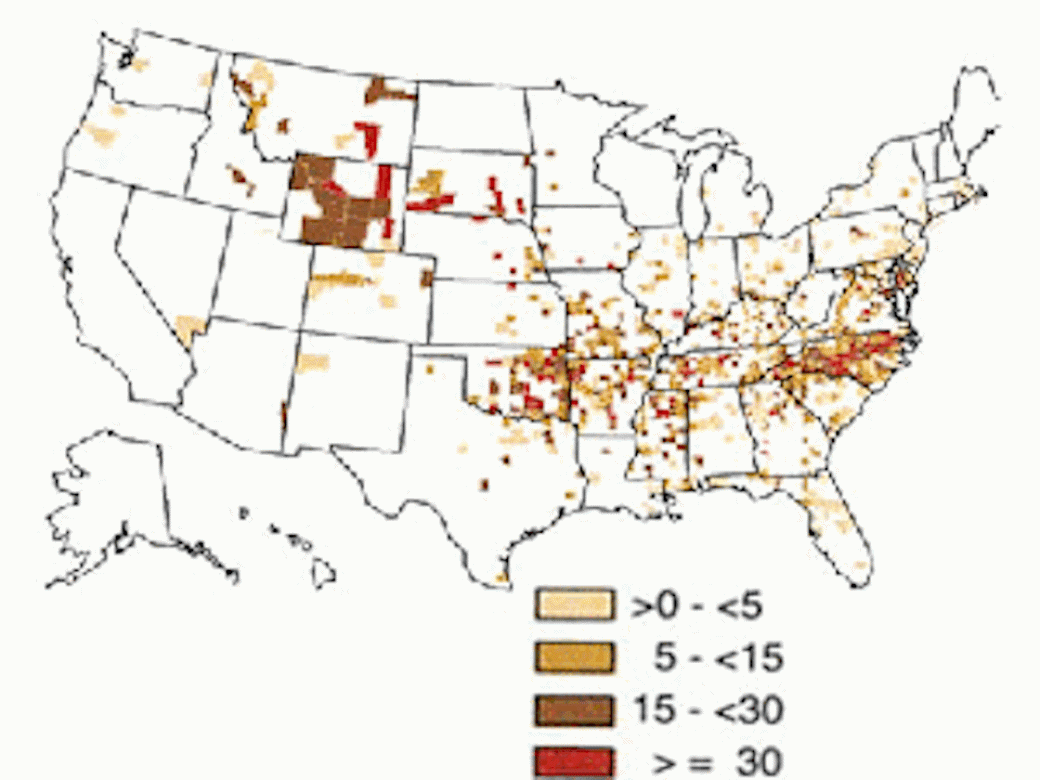 rocky-mountain-spotted-fever-lyme-disease